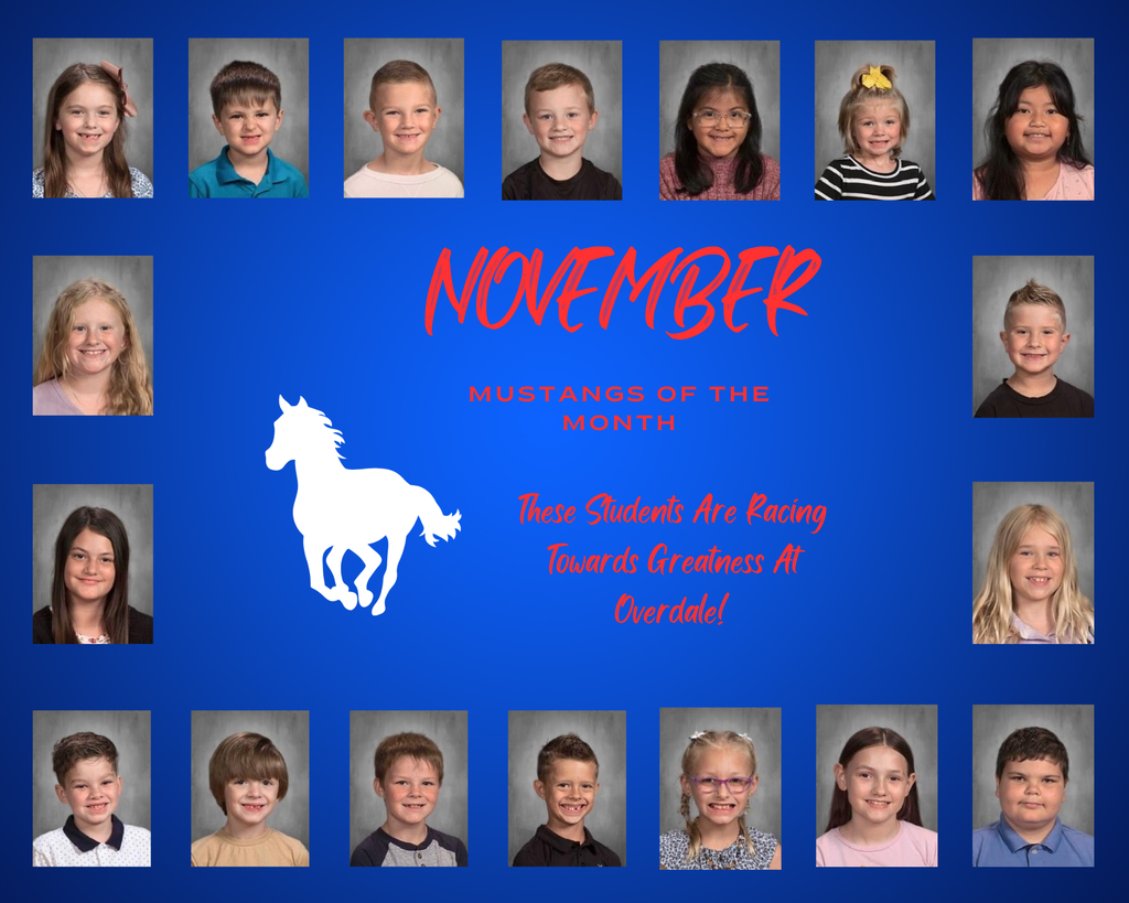 Mustangs of the Month