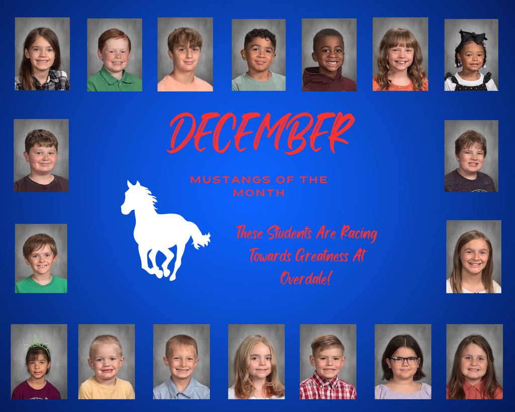 Mustangs of the Month