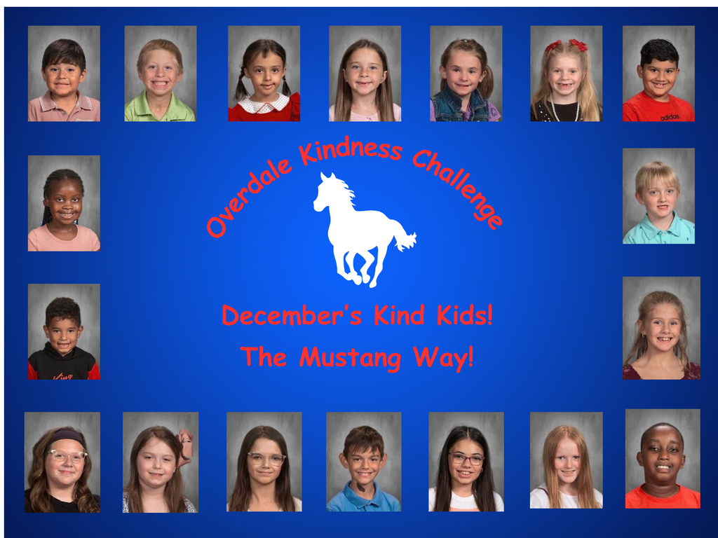 Overdale Kindness Challenge (19)