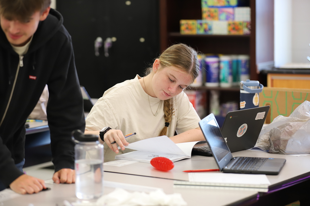 BAMS Homeless Shelter Design