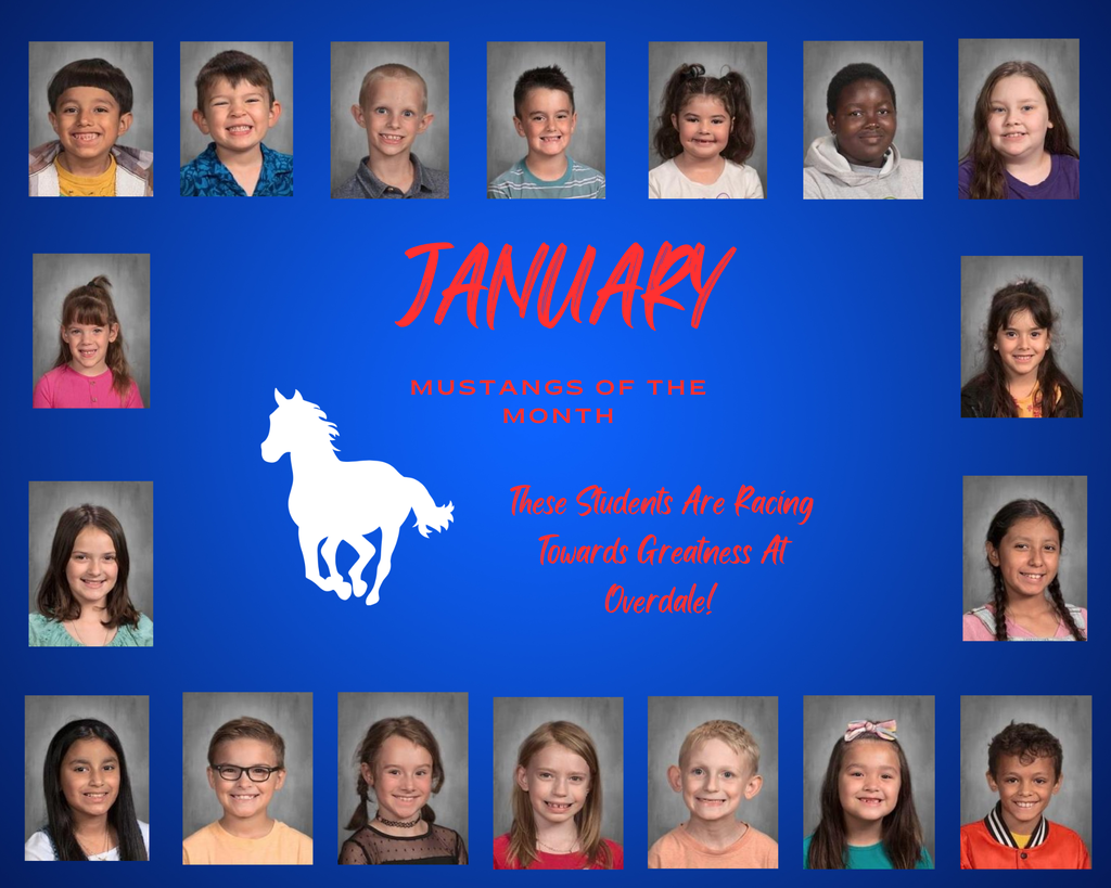 Mustangs of the Month (19)