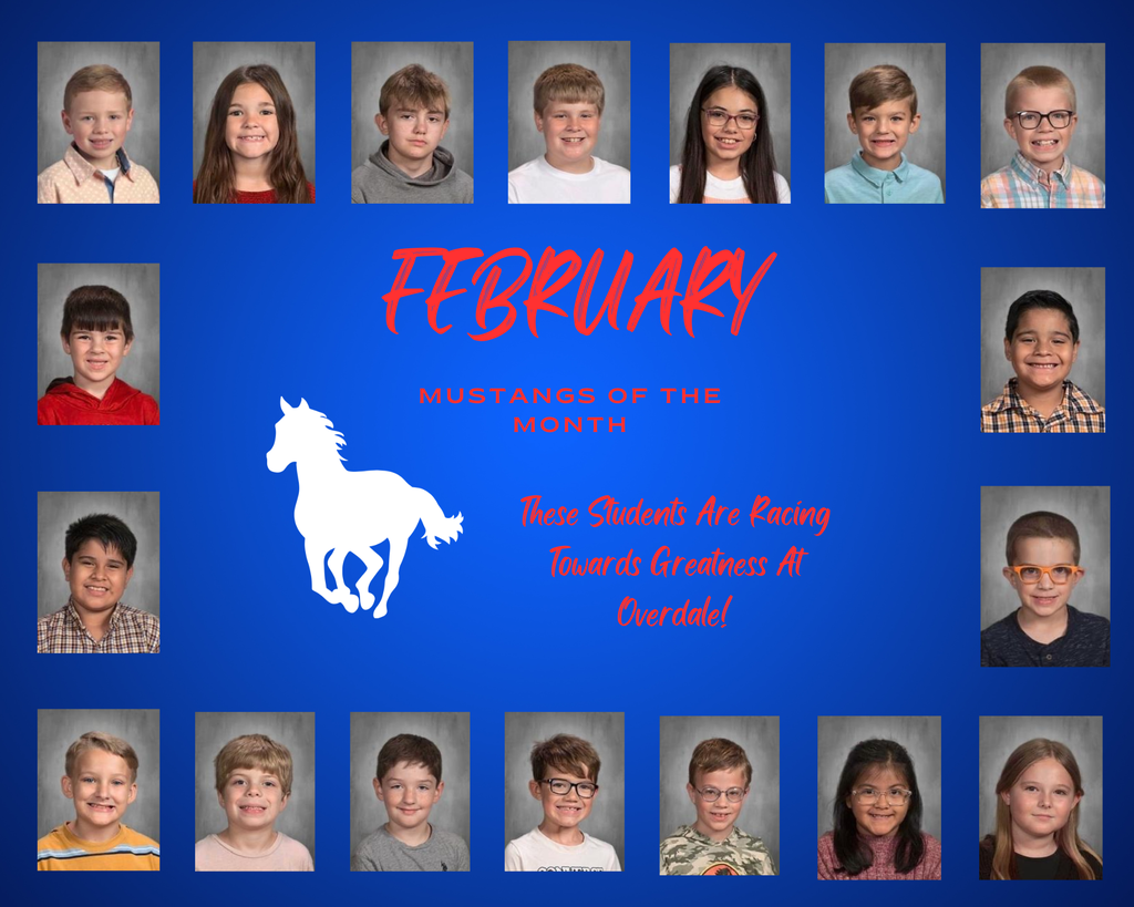 Mustangs of the Month (20)