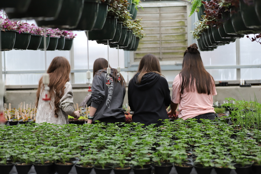 BCHS Greenhouse