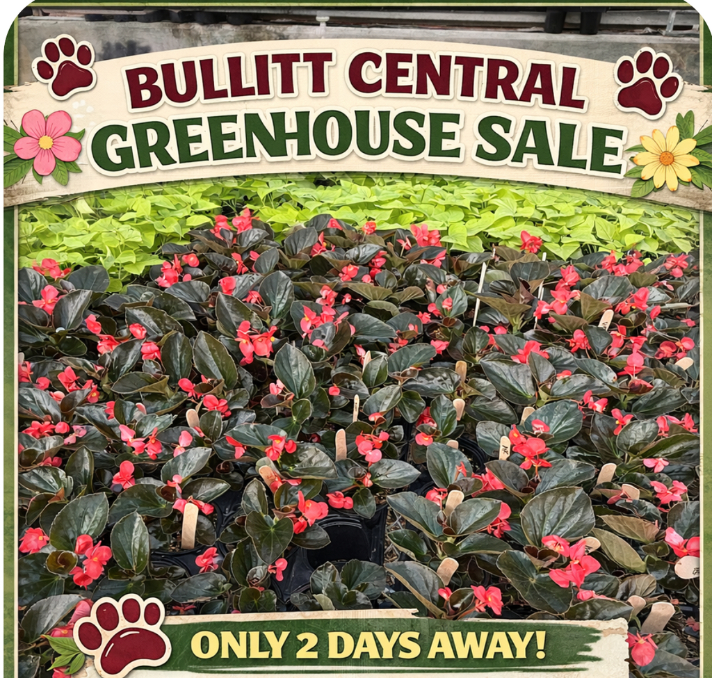 Greenhouse sale