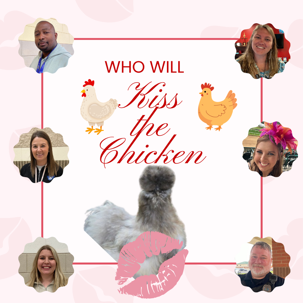 Kiss the Chicken