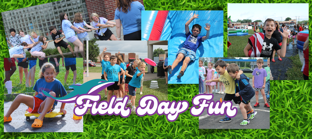 Field Day Fun