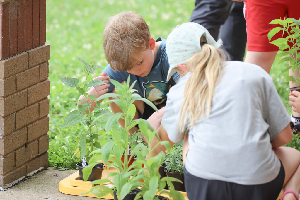CES Pollinator Garden