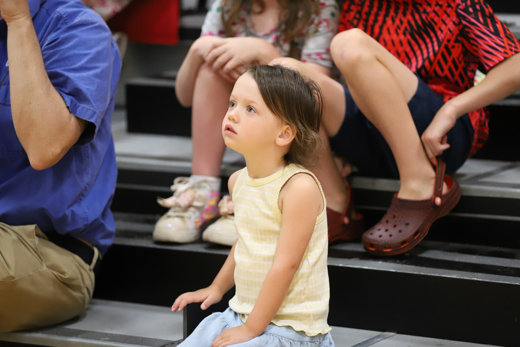 OES Summer Reading