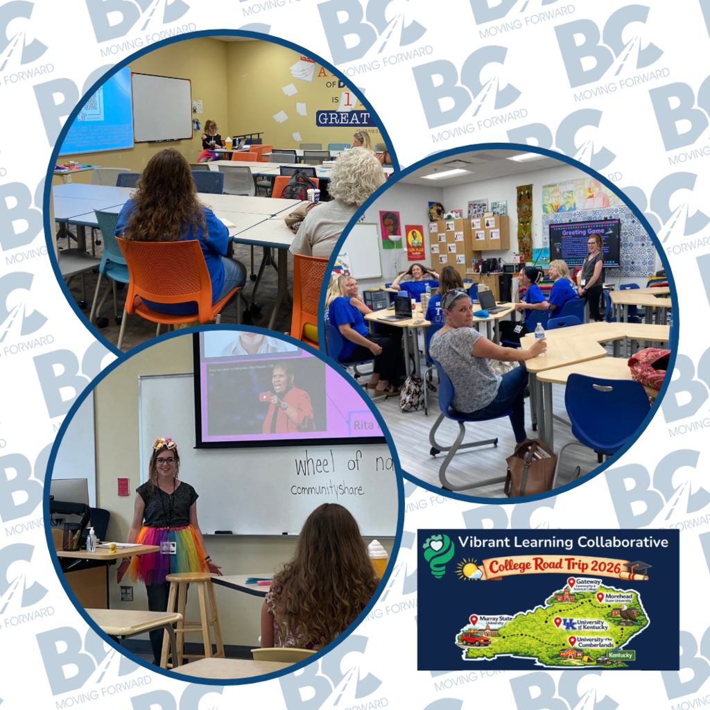 Vibrant Learning Collaborative