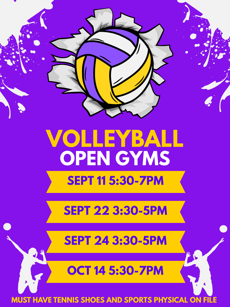 Volleyball Open Gym
