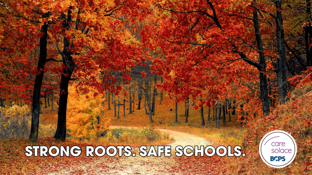 Care Solace: Safe Schools Week