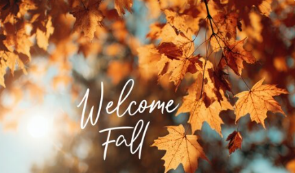 fall