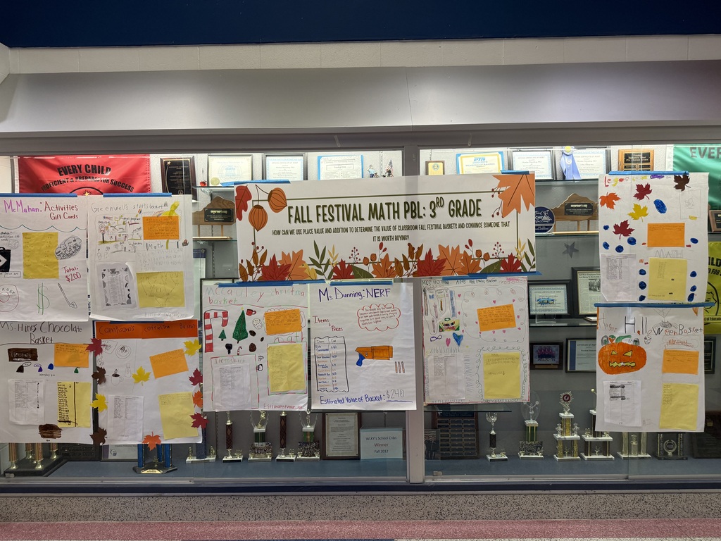 3rd Grade PBL