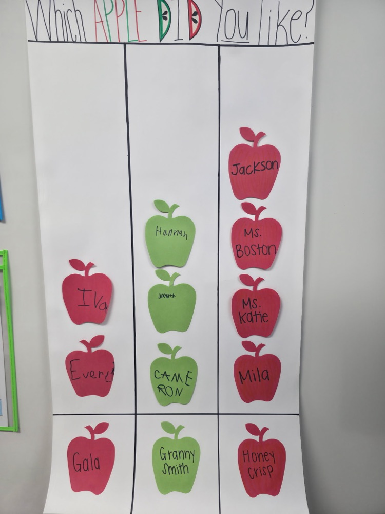Apple Life Cycle