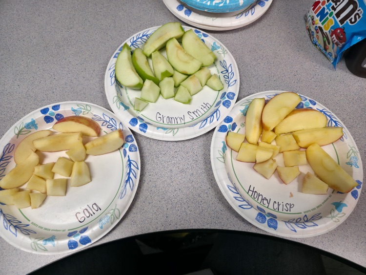 Apple Life Cycle