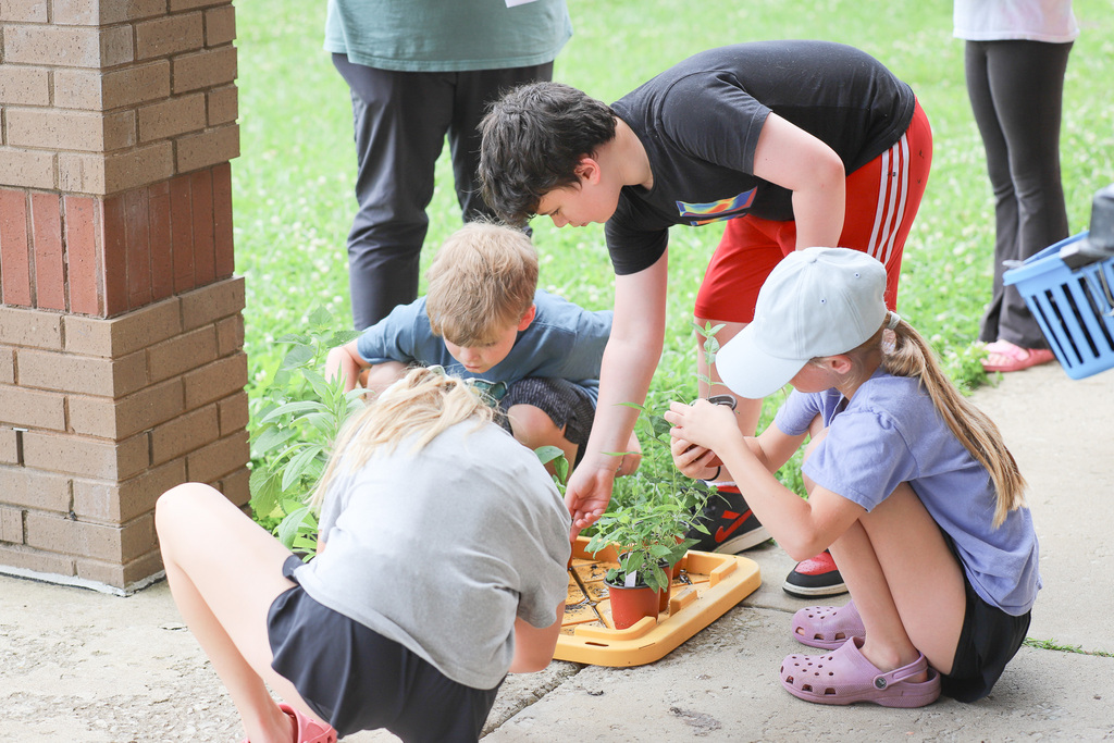 CES Pollinator Garden: Picking out plants