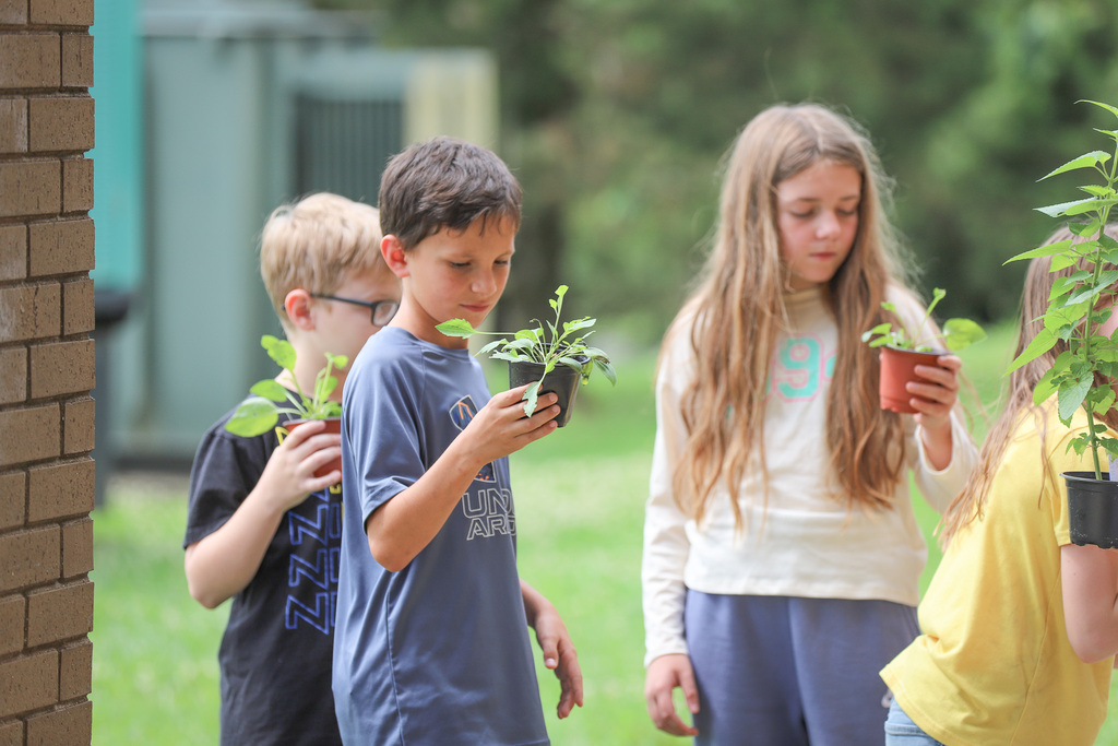 CES Pollinator Garden: Picking out plants