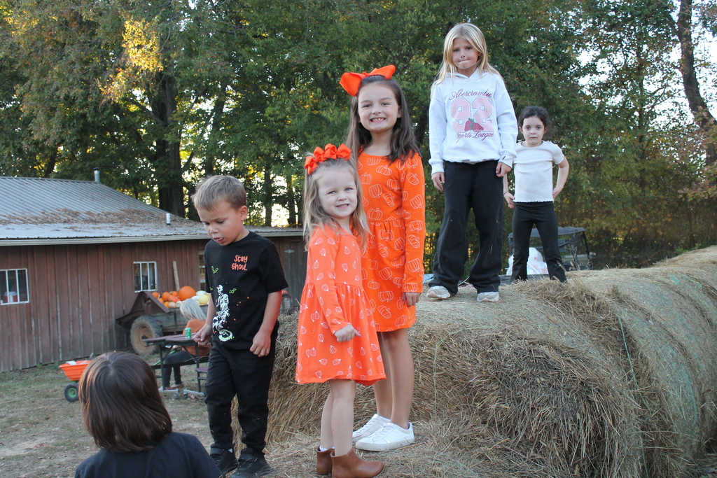 pumpkin patch