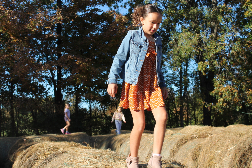 pumpkin patch