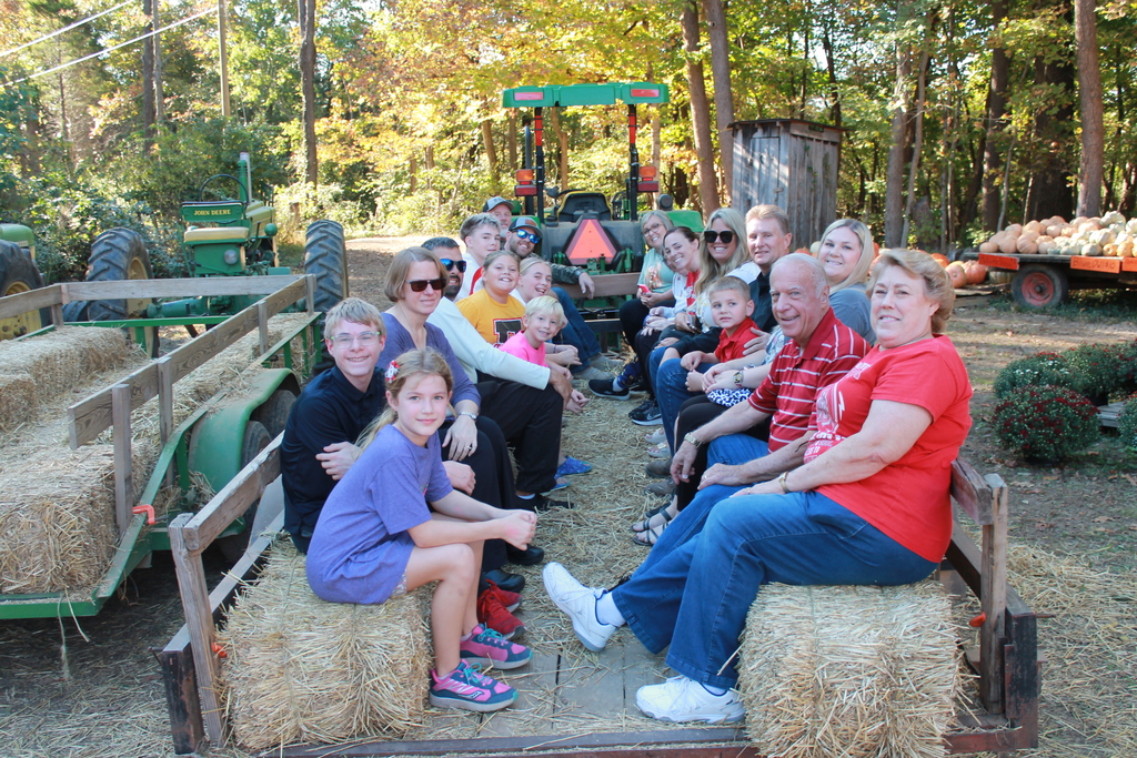 pumpkin patch