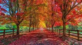 fall