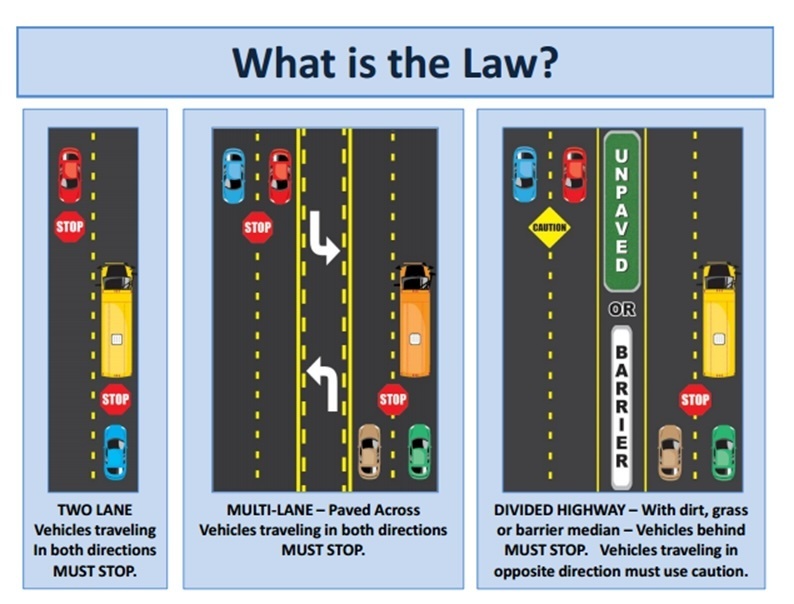 What is the Law?