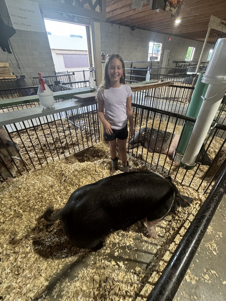 Pig