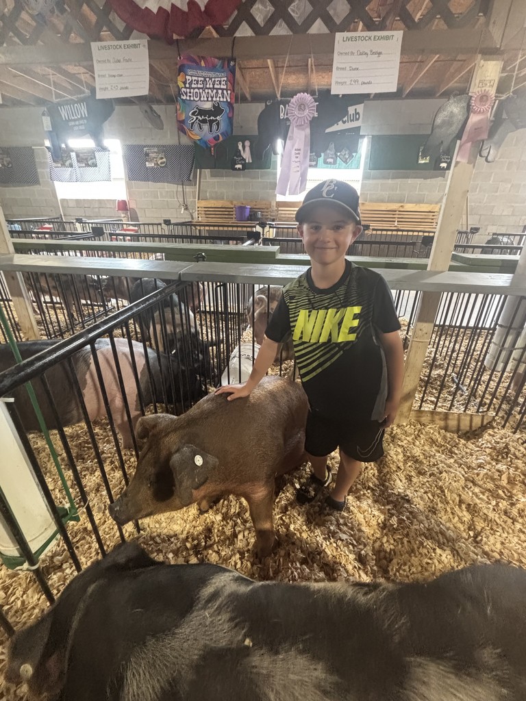 Pig