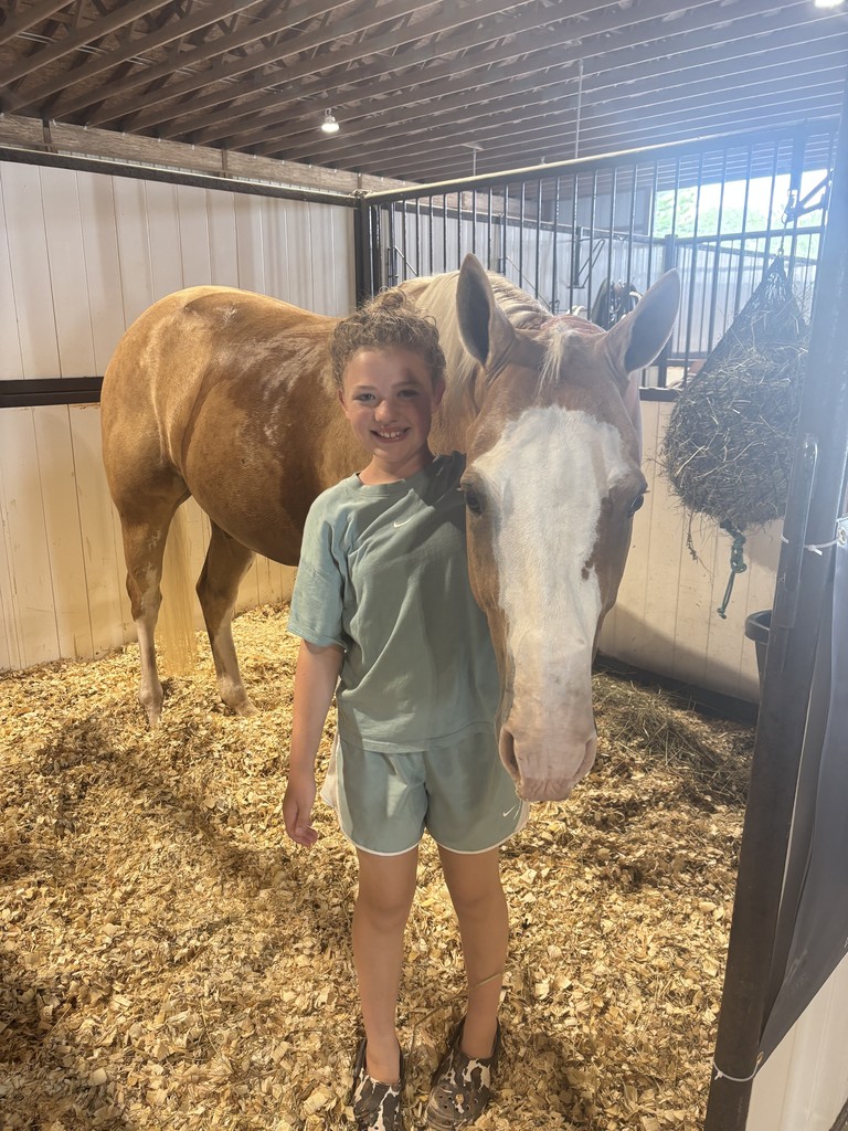 Horse
