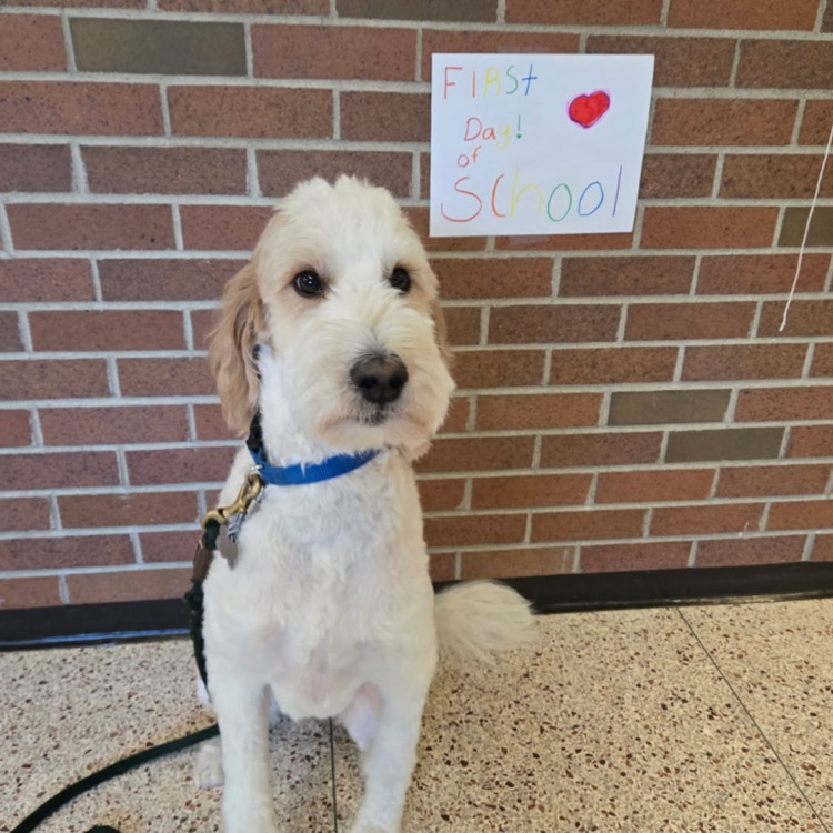 First Day of School