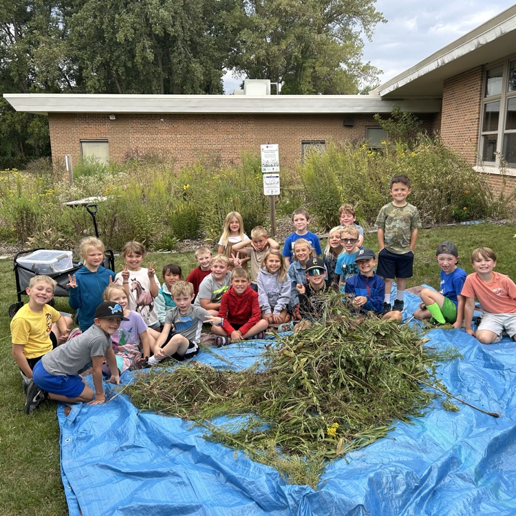 pollinator garden 