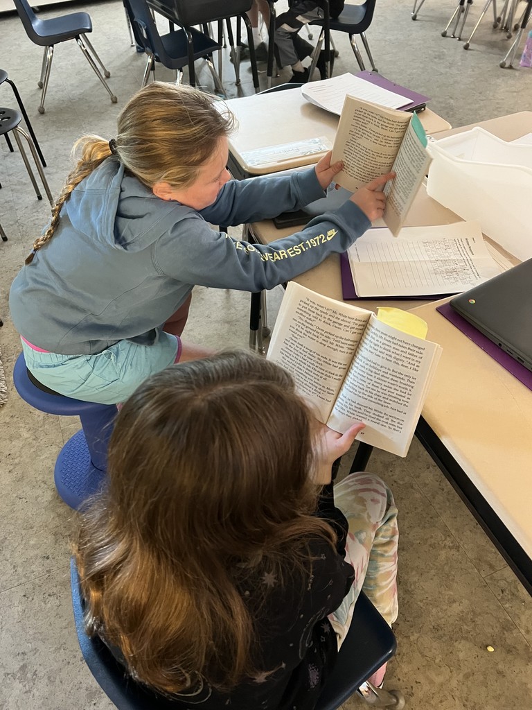 Partner reading