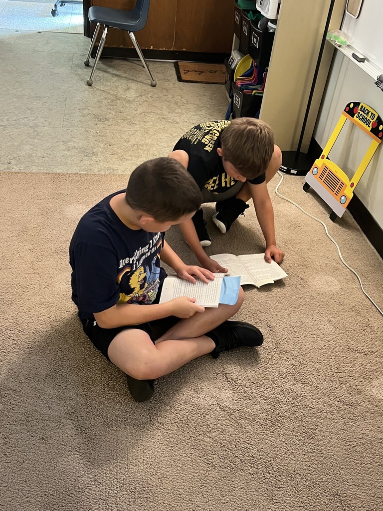 Partner reading