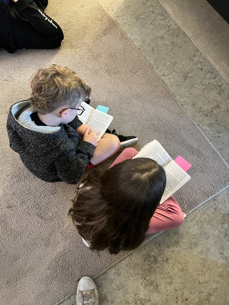 Partner reading