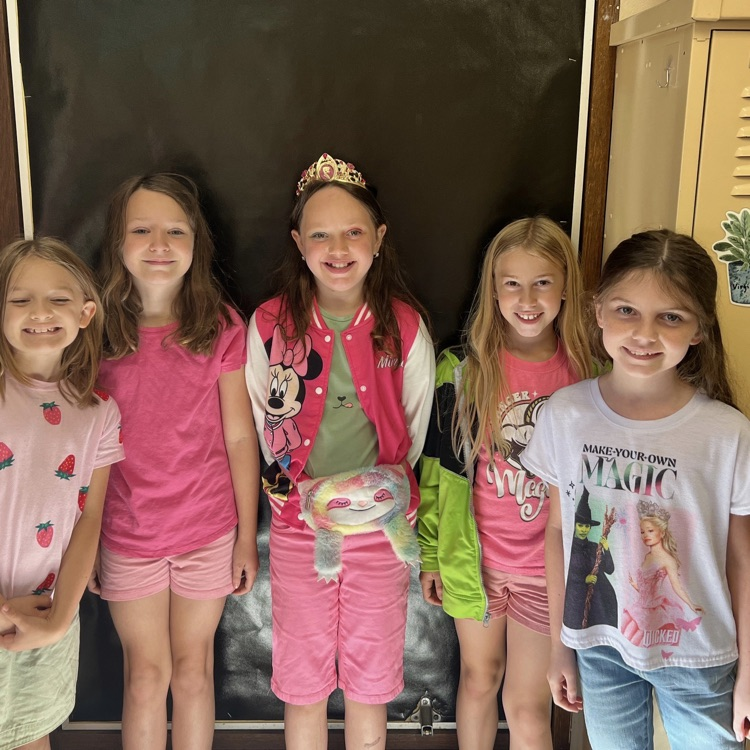 Pink team
