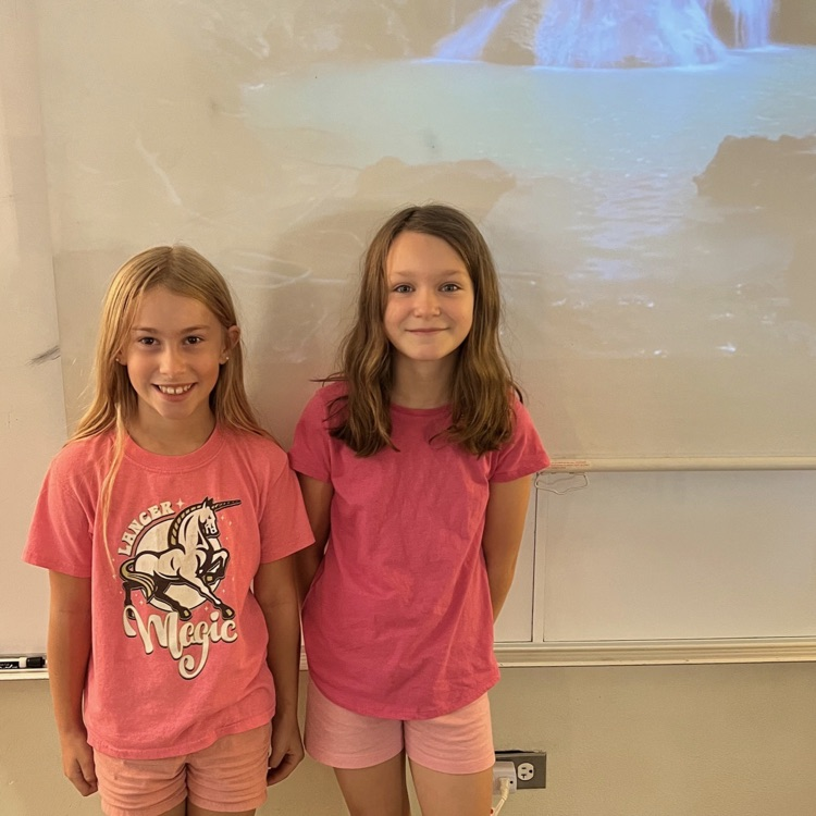 Pink team