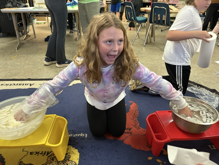 science exploration 