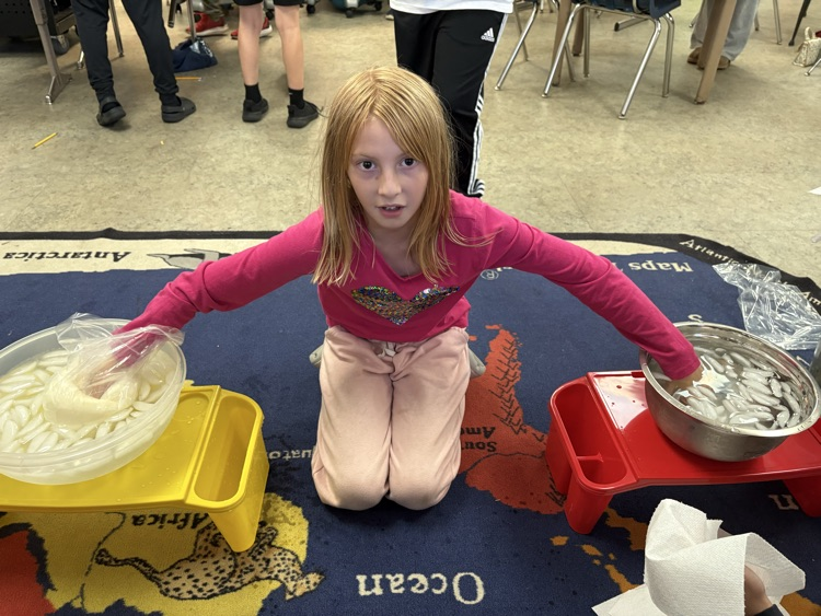 science exploration 