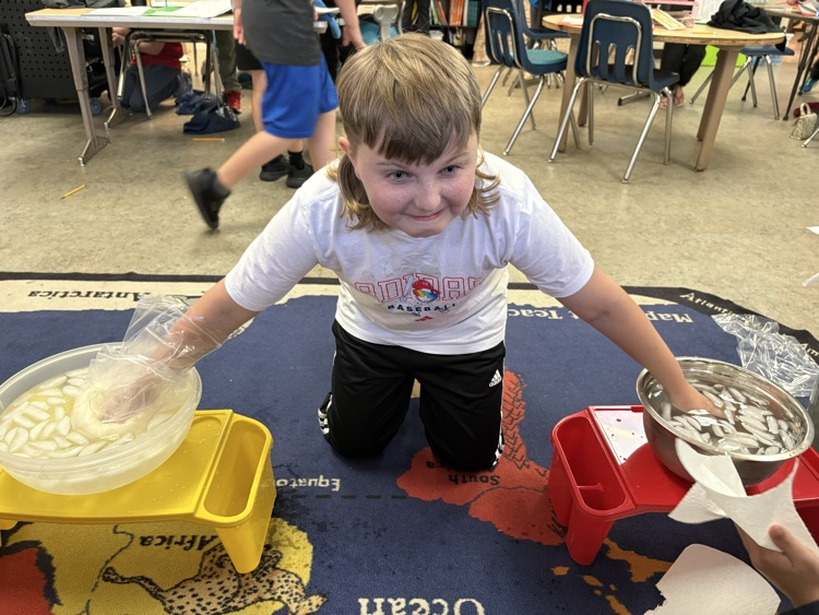 science exploration 