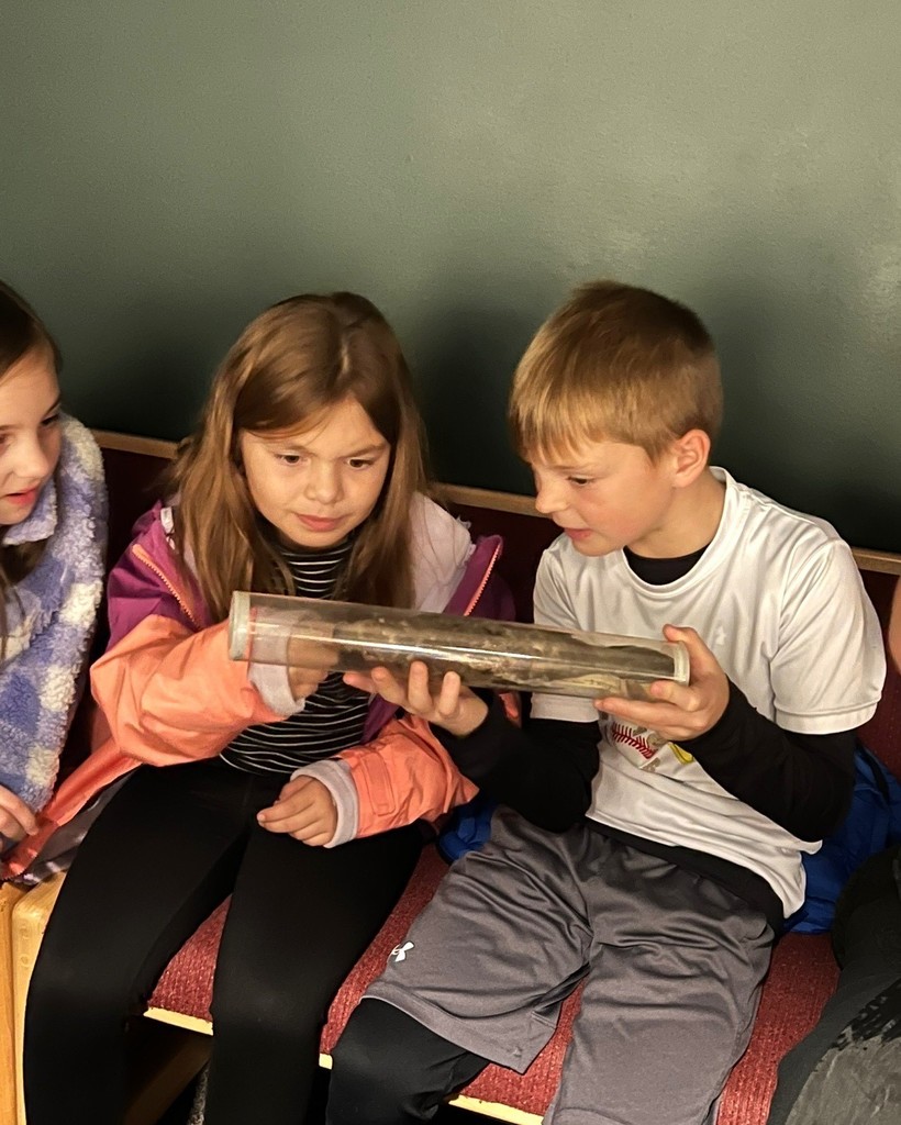 3rd Grade Animal Classification