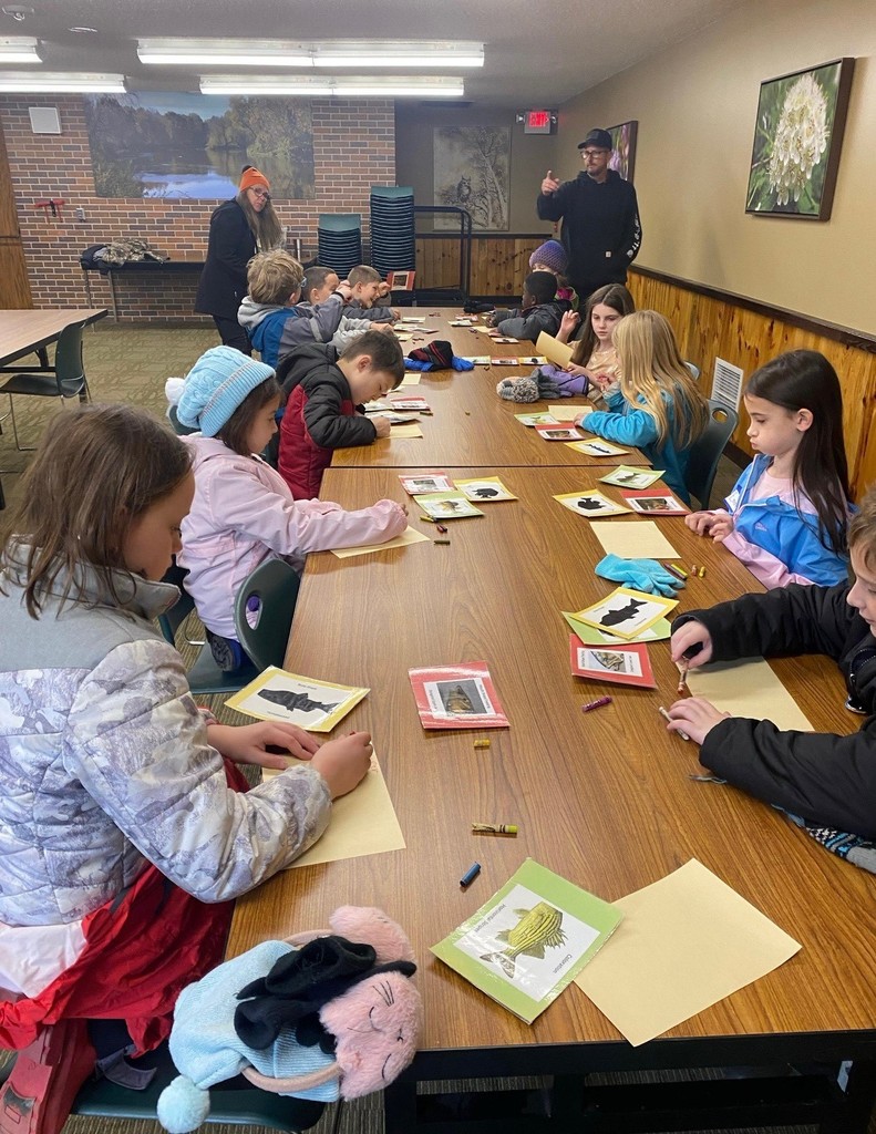 3rd Grade Animal Classification