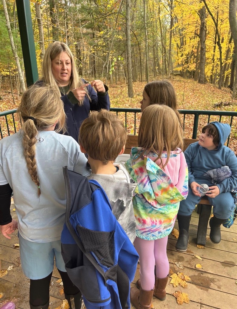 3rd Grade Animal Classification