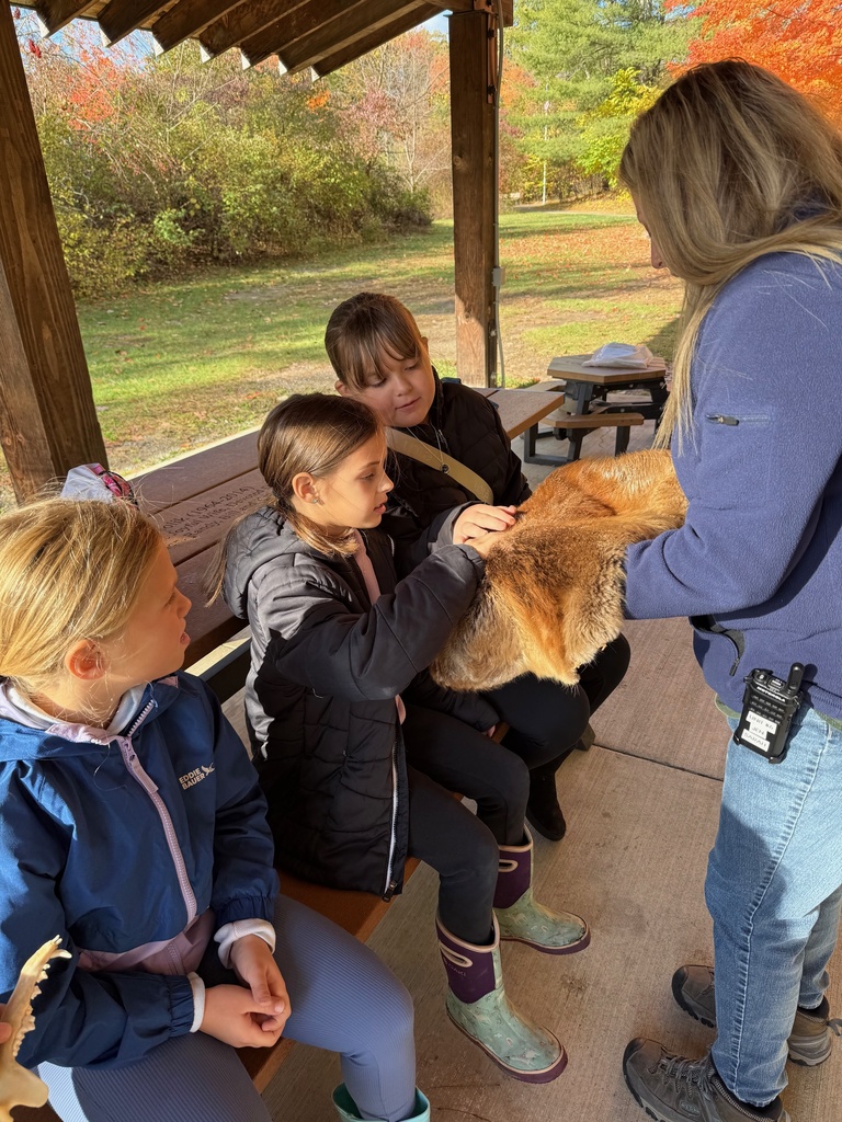 3rd Grade Animal Classification