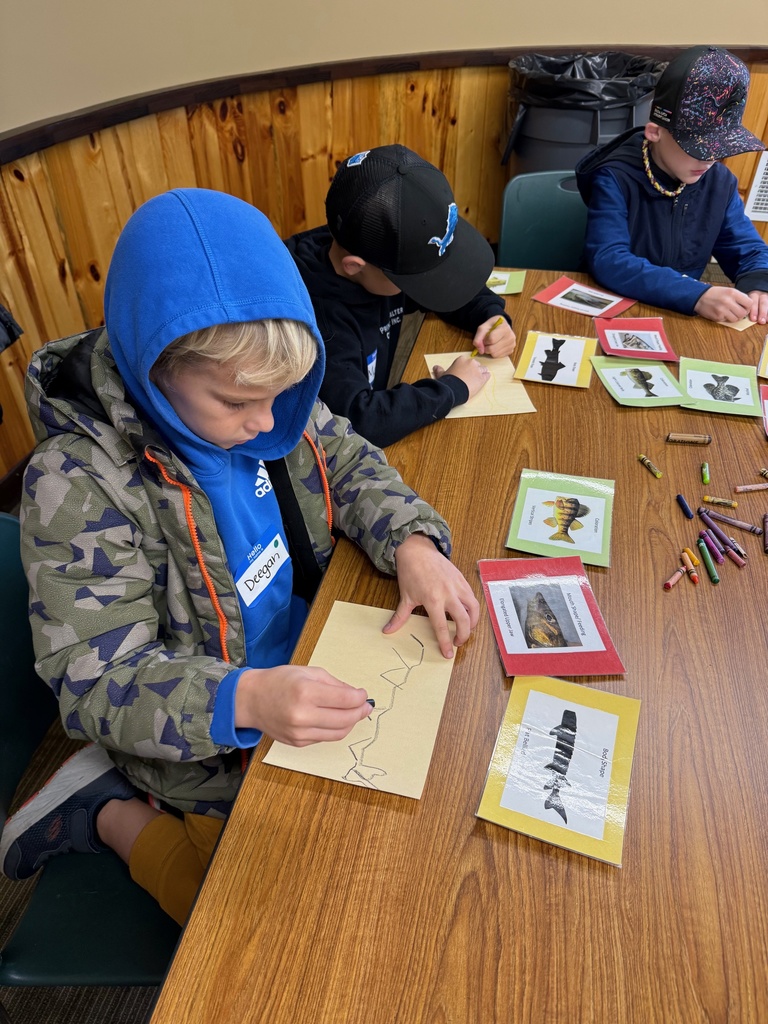 3rd Grade Animal Classification
