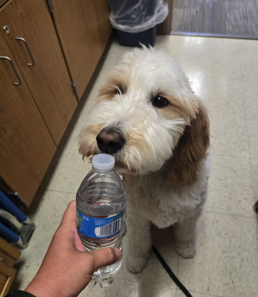 Brett getting hydration