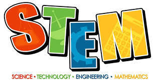 stem