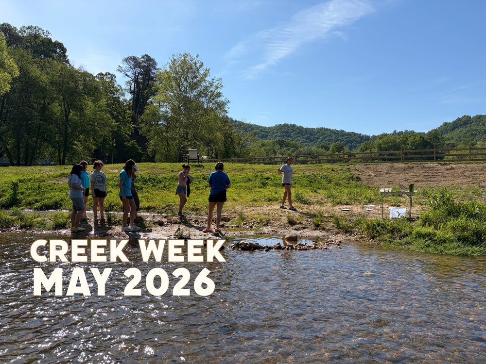 creek week