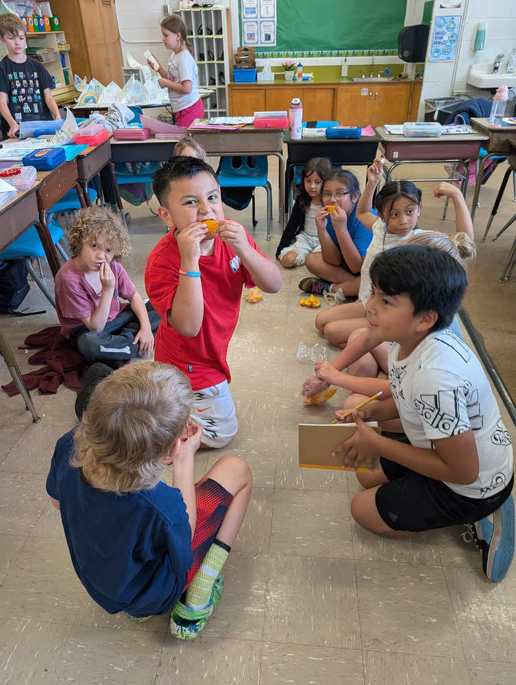 Students eat fresh fruit in a classroom.