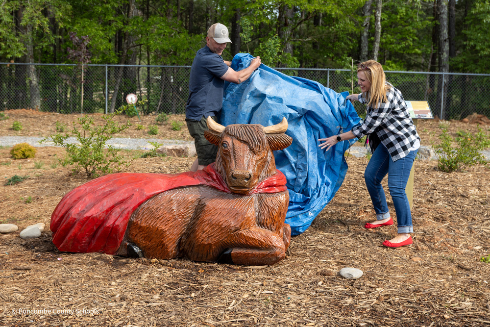 An artist and the principal remove a tarp to reveal a chainsaw sculpture of a cow in a cape.