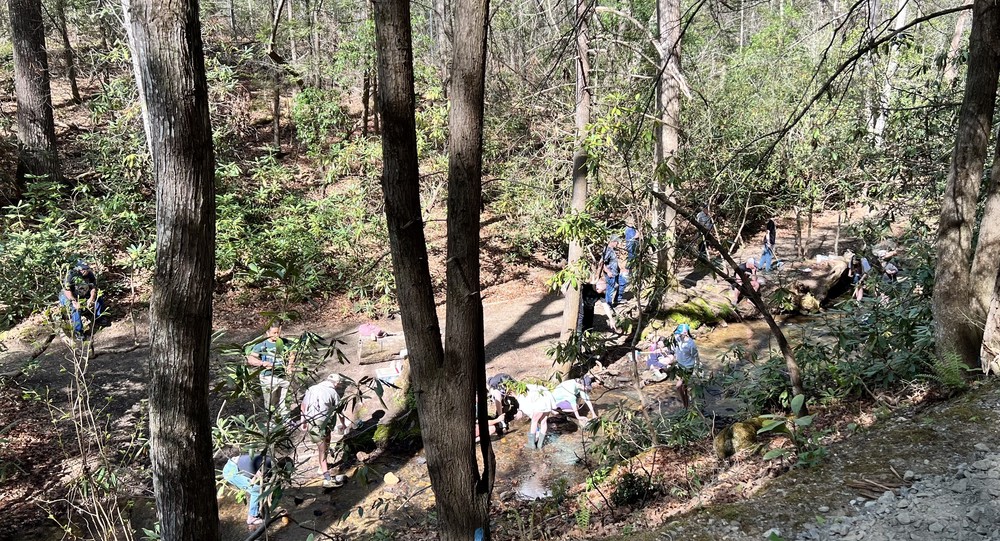 Students exploring the river